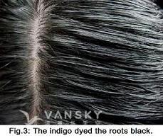 250502111301_Hair-Dyed with indigo-s.jpg